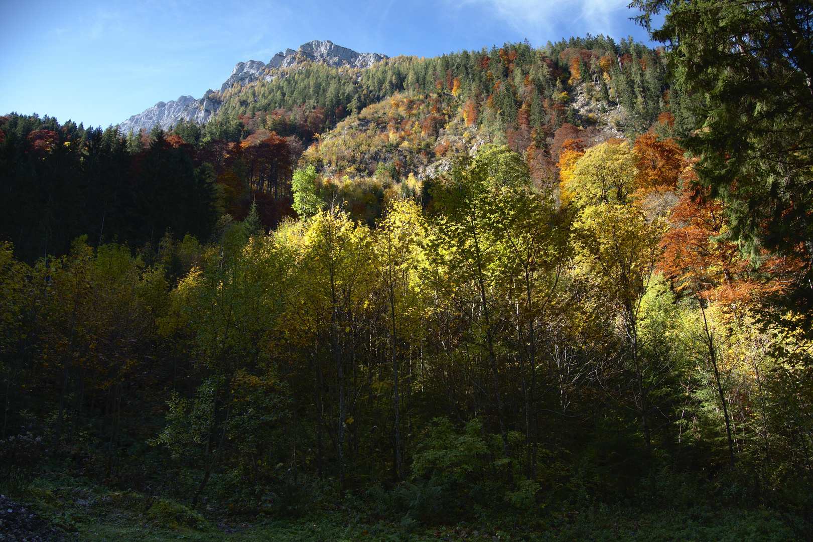 Rückblick zur Hochalmscharte