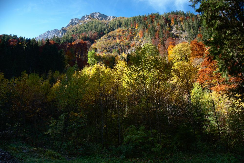 Rückblick zur Hochalmscharte