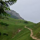 Rückblick zur Steinlingalm mit Kampenwand ohne blauem Himmel…