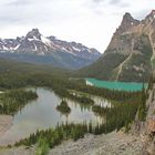 Rückblicke mit Sehnsuchtscharakter - 6: Yoho Nationalpark/Kanada