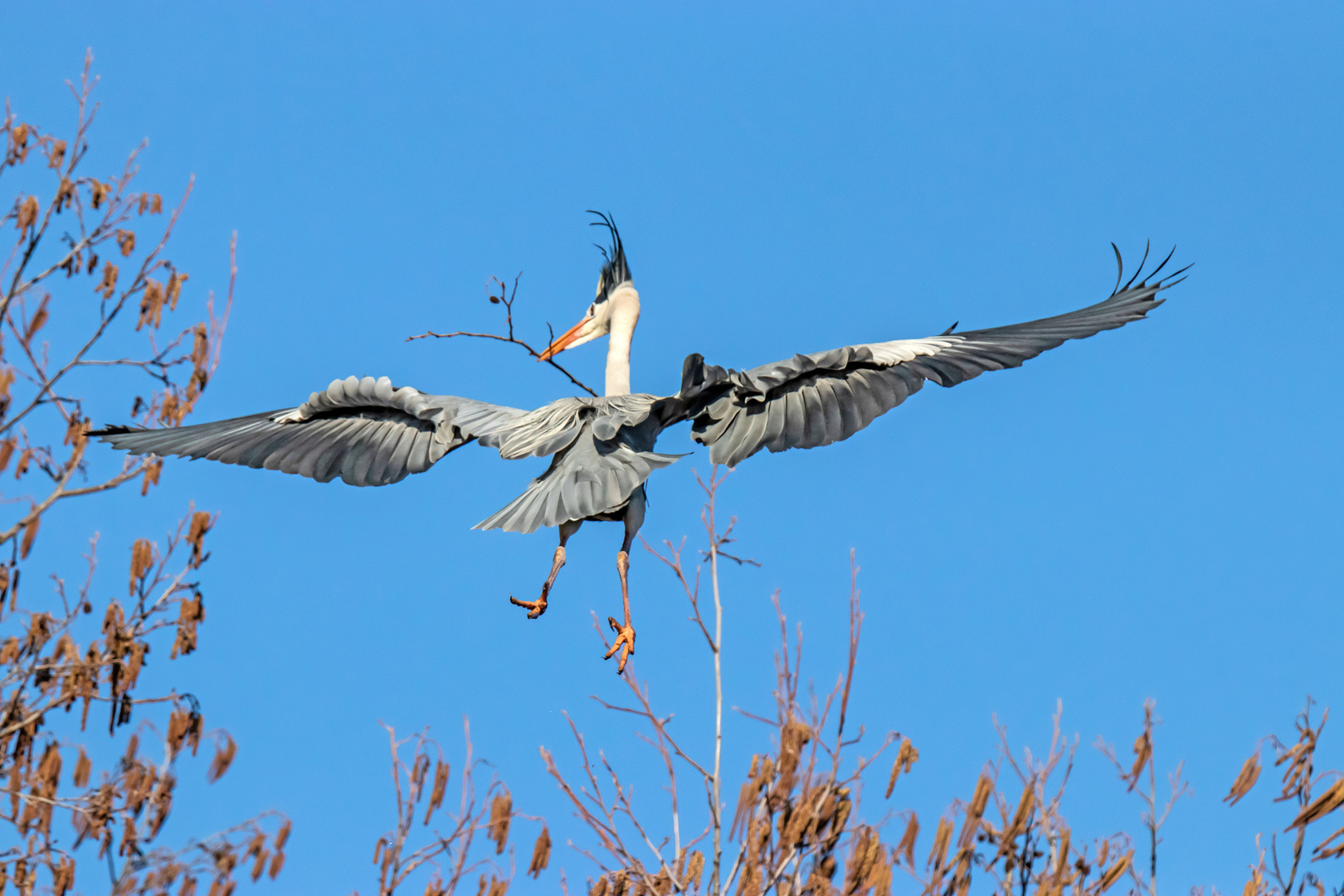 Rückenwind Foto & Bild himmel, natur, see Bilder auf