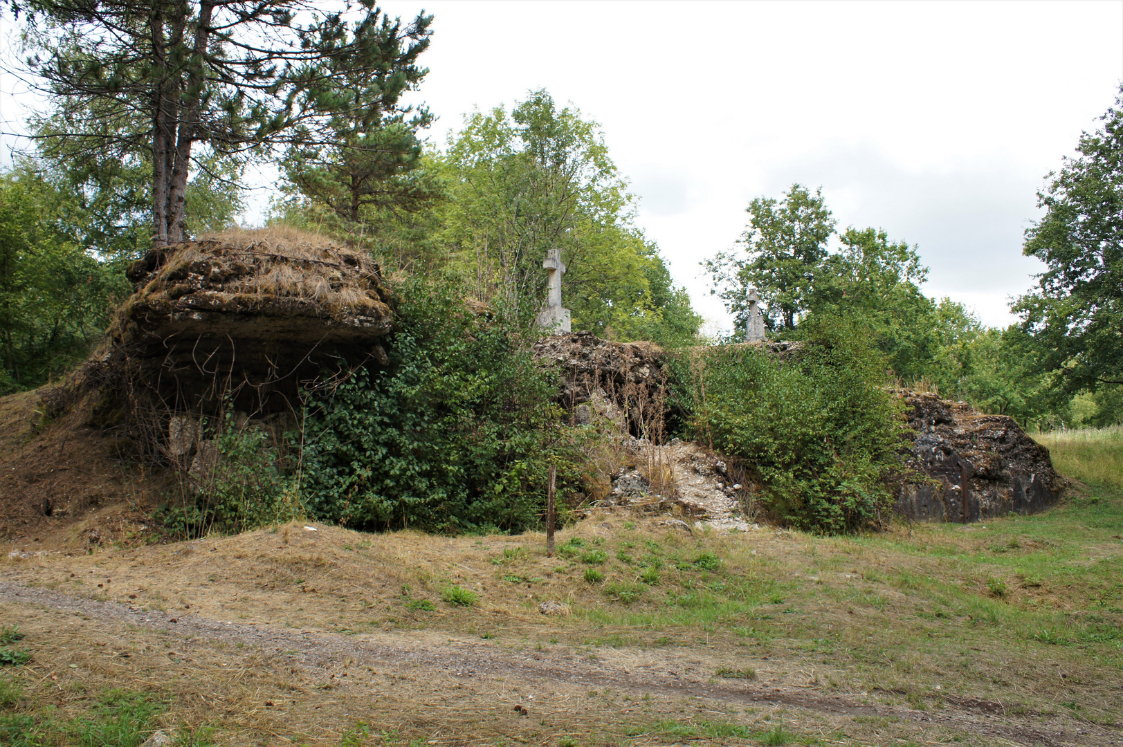 Rückeroberung                 der Natur