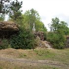 Rückeroberung                 der Natur