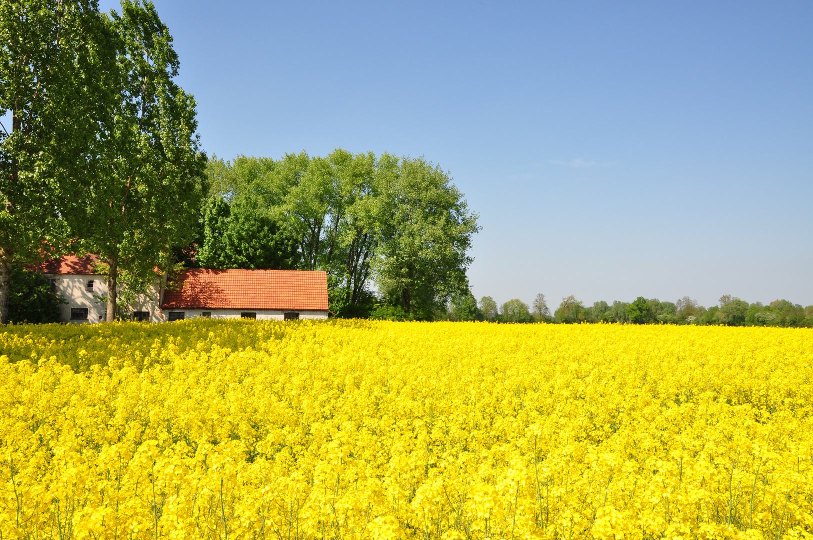 Rückeroberung der Natur