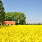 Rückeroberung der Natur