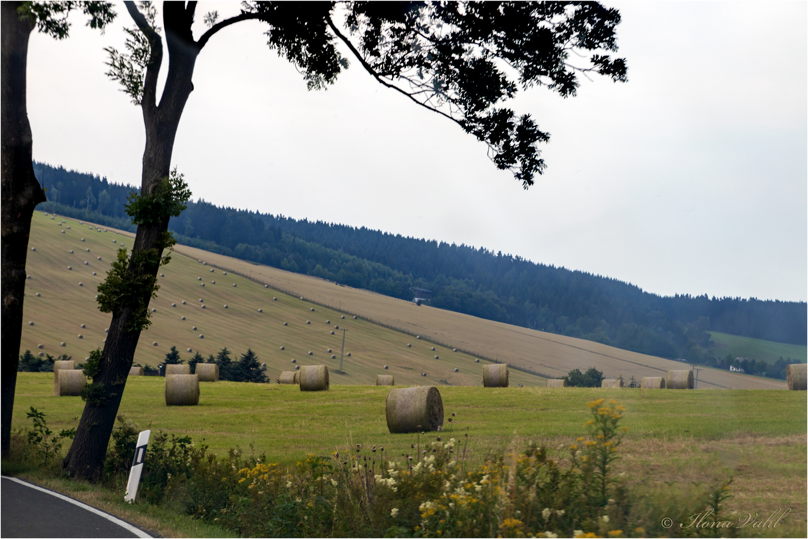 Rückfahrt durch's Erzgebirge