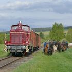 Rückfahrt nach Fladungen - bei Ostheim-