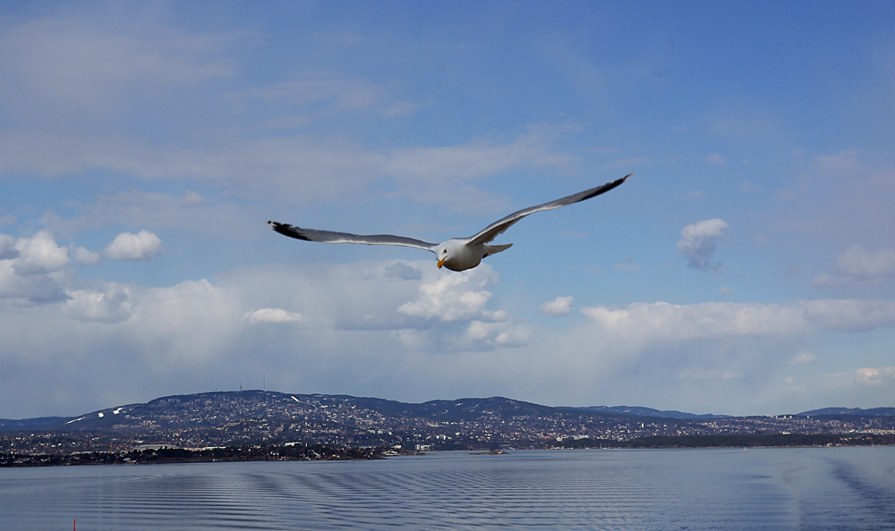 Rückfahrt von Oslo nach Kiel