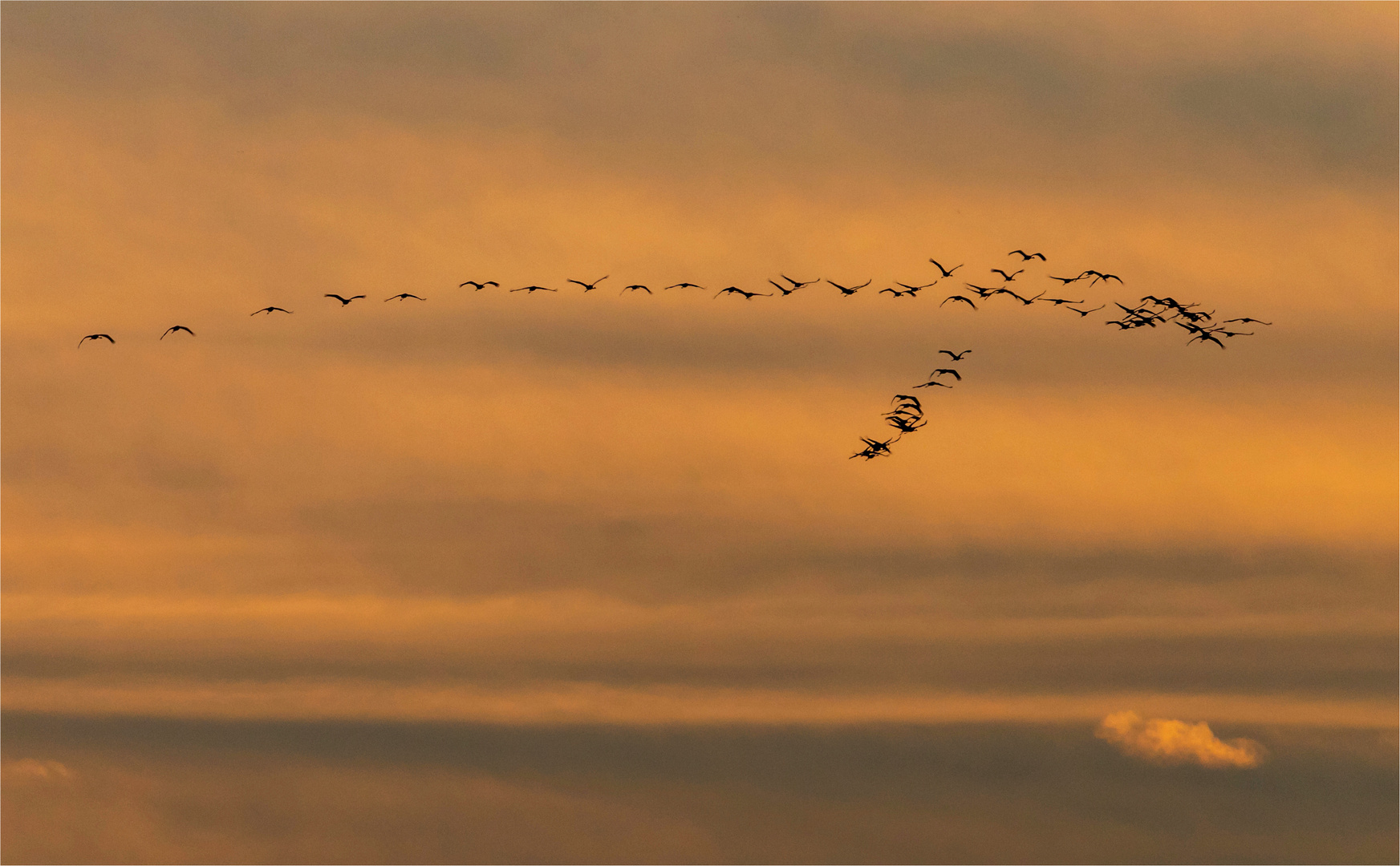 Rückflug