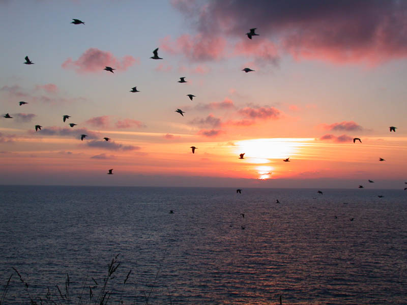 Rückflug bei Sonnenuntergang