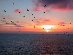 Rückflug bei Sonnenuntergang