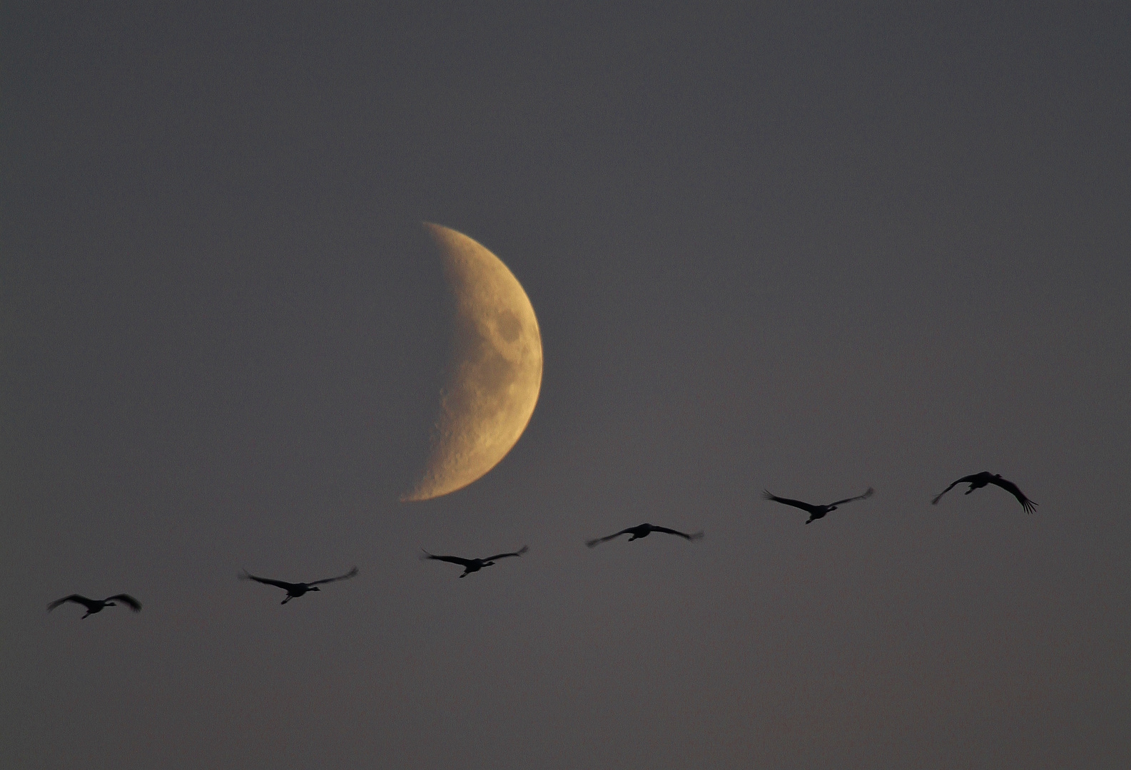 Rückflug vom Mond