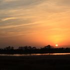 Rückkehr der Kraniche am Bodden