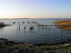 Rückkehr der Natur 1