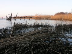 Rückkehr der Natur 4