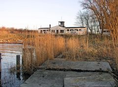 Rückkehr der Natur 5