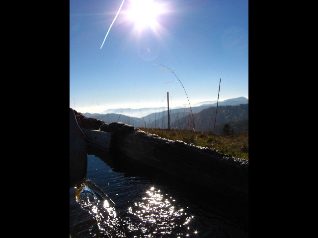 Rückkehr der Natur