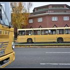 Rückkehr des „Drewitzbusses“