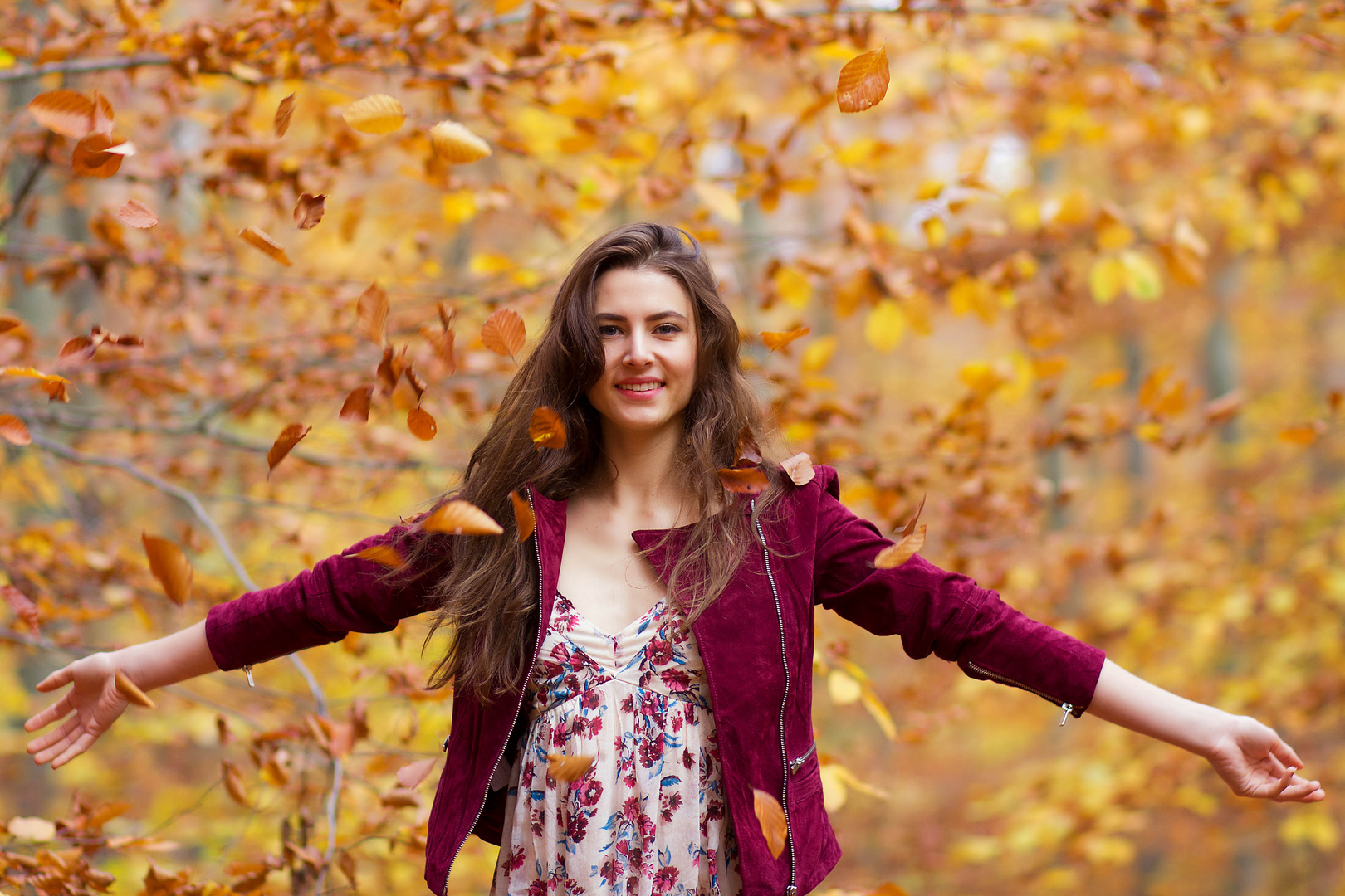 Rückkehr des Herbstes