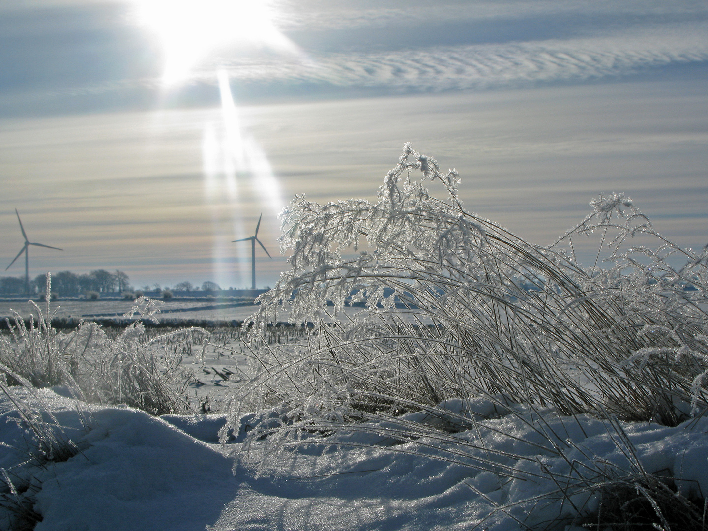 Rückkehr des Winters