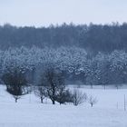 rückkehr des winters