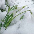 Rückkehr des Winters heute früh (29. März 2018) . . .