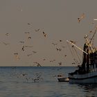 Rückkehr eines Sardellenfischers am Morgen