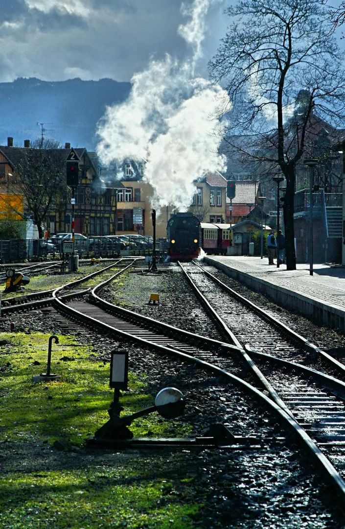 Rückkehr vom Brocken ( Harz )