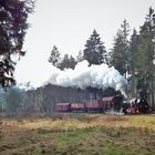 Rückleistung nach Wernigerode