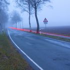 Rückleuchten im Morgennebel