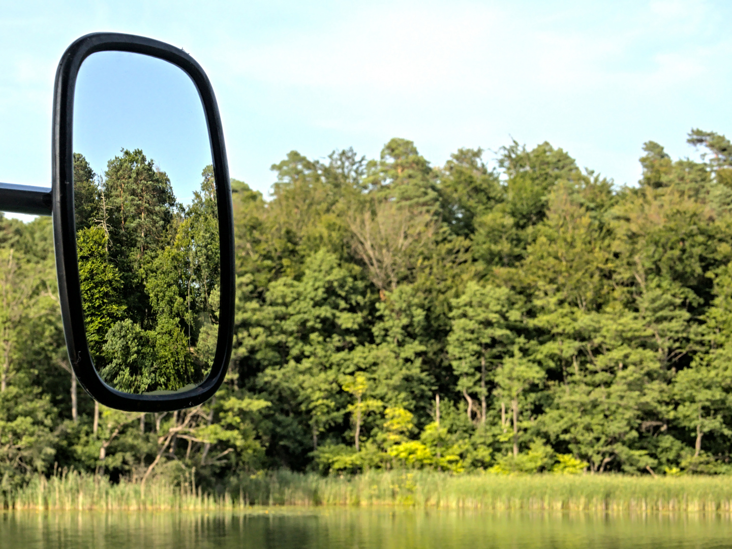 Rücksicht auf den Wald