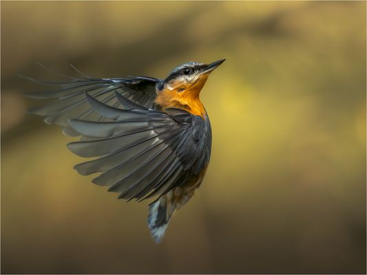 Rückwärts einparken