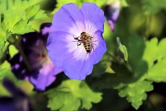 "Rückwärts gelandet"