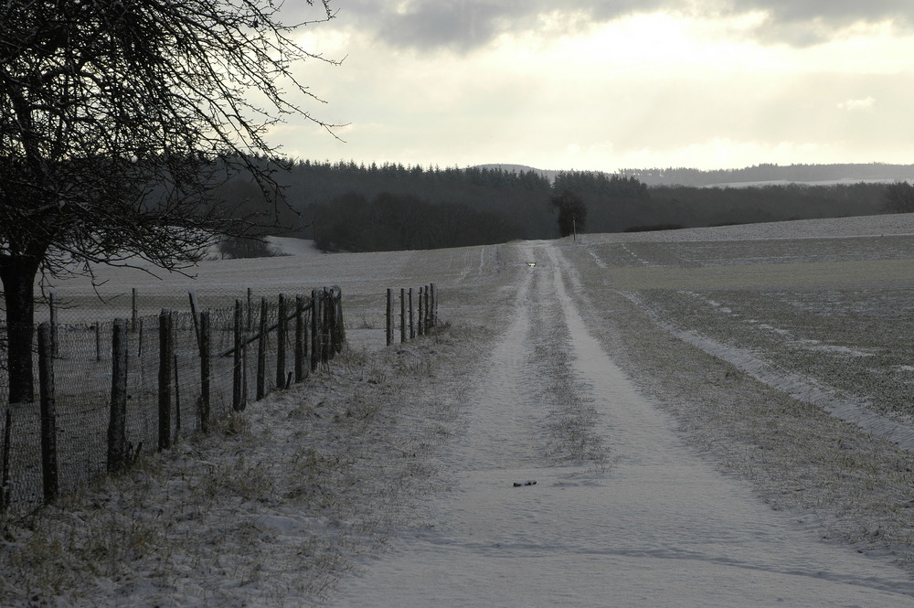 Rückweg