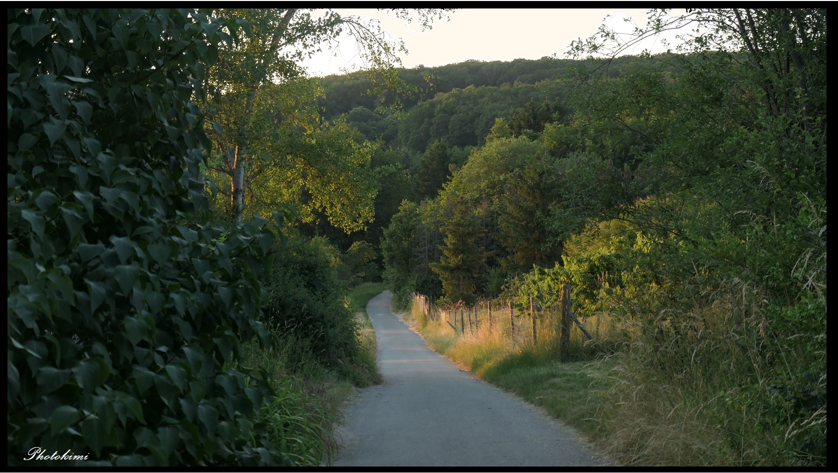 Rückweg im Abendlicht