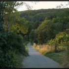 Rückweg im Abendlicht