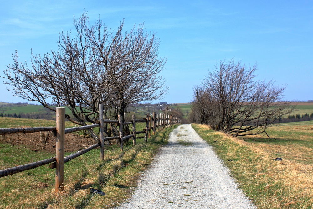 Rückweg nach Deutschland