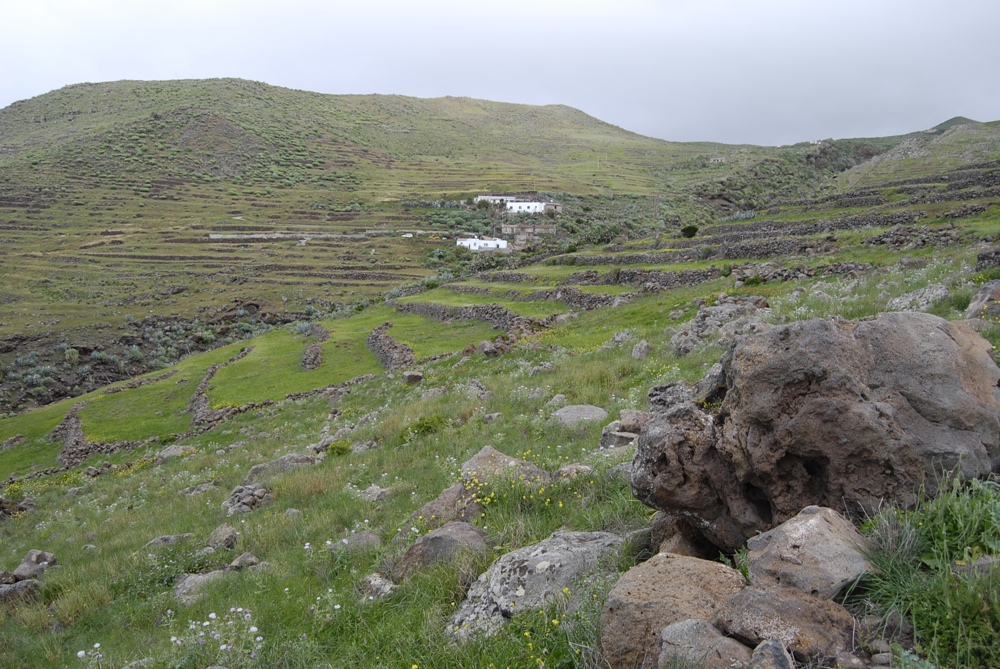 Rückweg nach Teno Alto