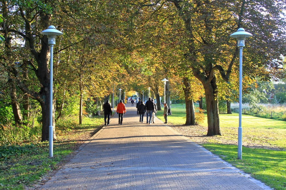 Rückweg vom Strand