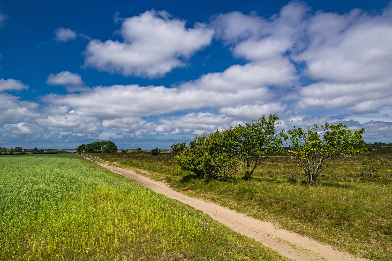 Rückweg Wanderung am Morsum Kliff