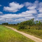 Rückweg Wanderung am Morsum Kliff