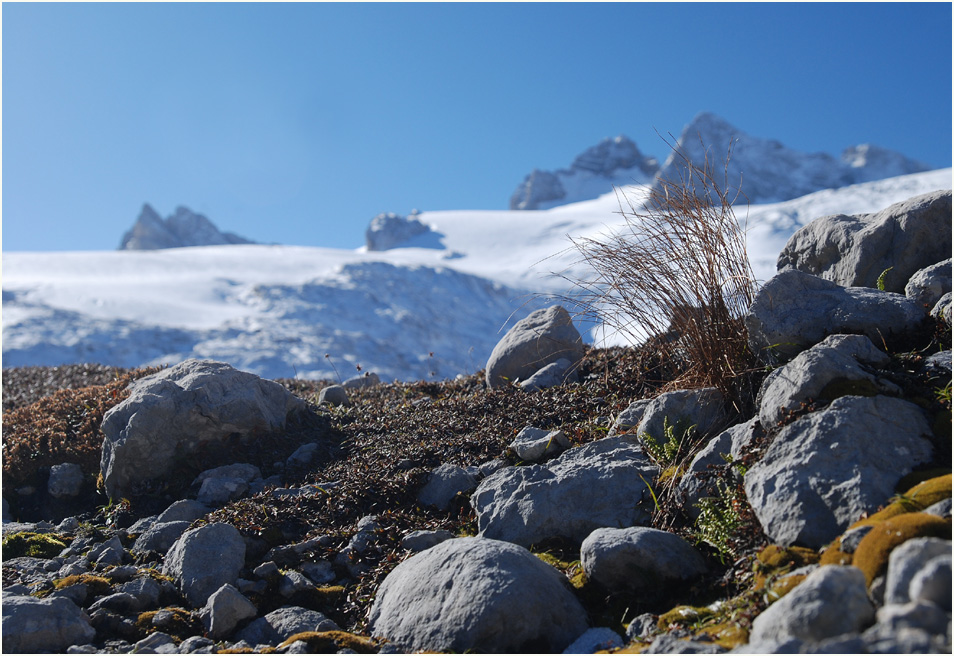 Rückzug am Dachstein