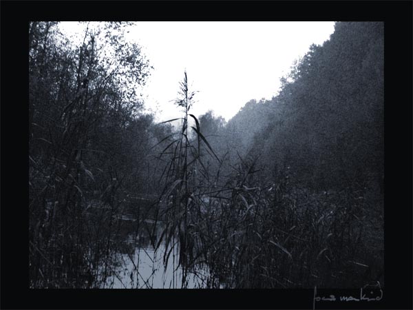 Rückzug im Nebel