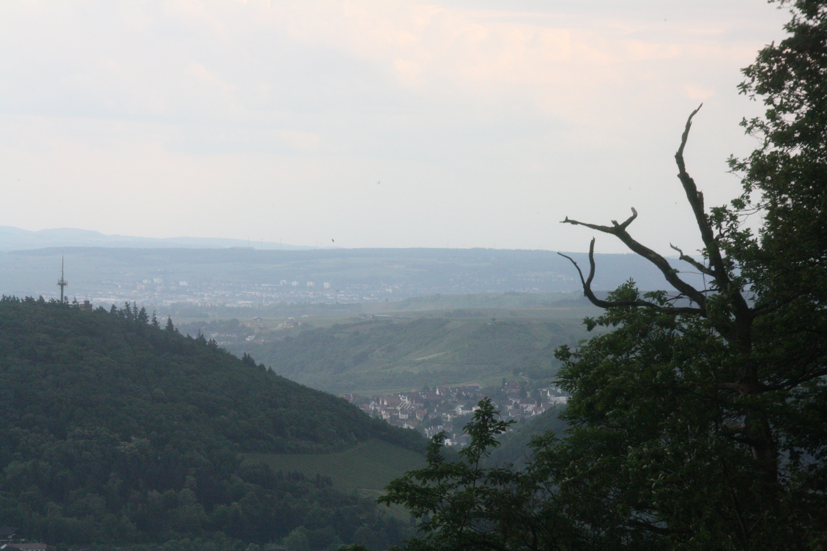 Rüdesheim