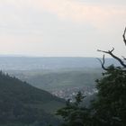 Rüdesheim