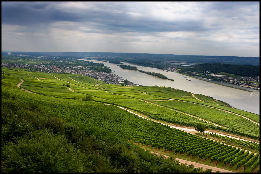 Rüdesheim