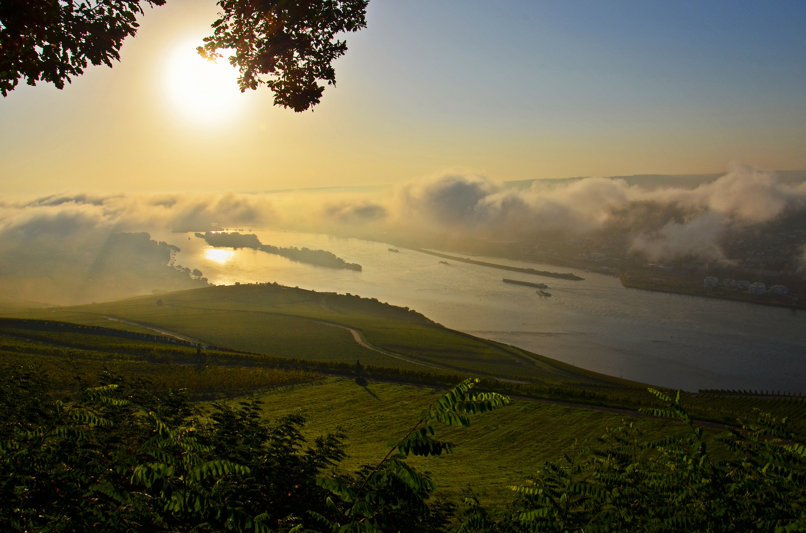 Rüdesheim