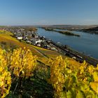 Rüdesheim