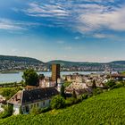 Rüdesheim am Rhein