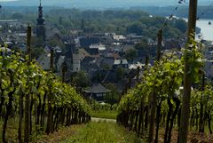 Rüdesheim am Rhein